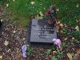 image of grave number 913810